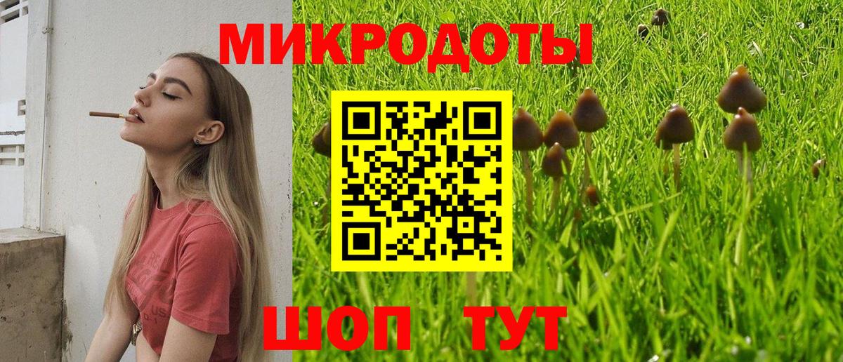 Псилоцибиновые грибы Cubensis  Вход с VPN  Новотроицк 